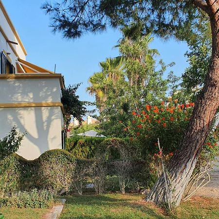 Nice 2 Bedroom Apartment Groundfloor Swimming Pool Tavira Exterior photo
